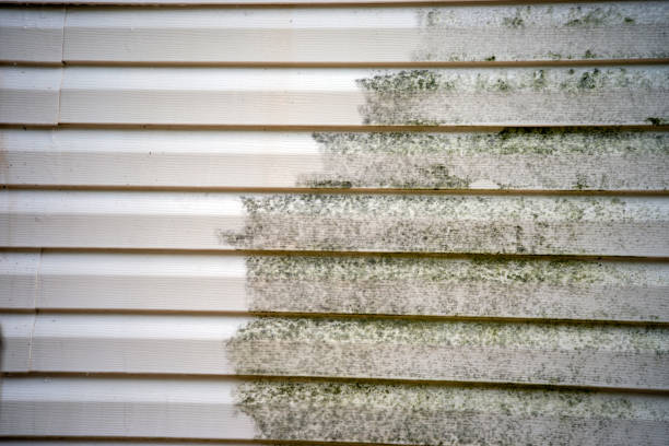 Best Yard Waste Removal  in Vale, OR